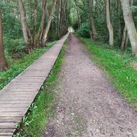Pasakela * Palanga