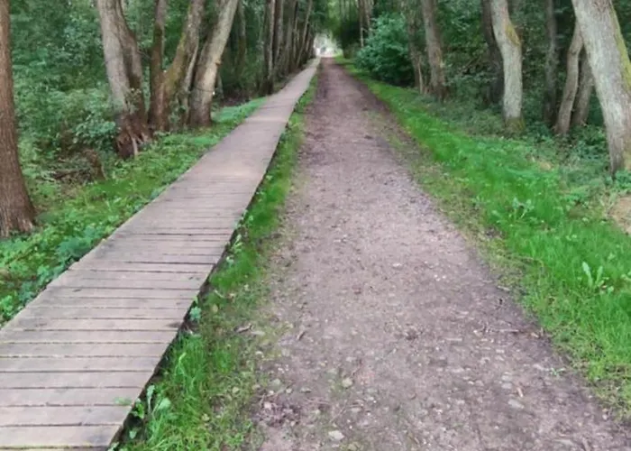 Pasakela * פלאנגה